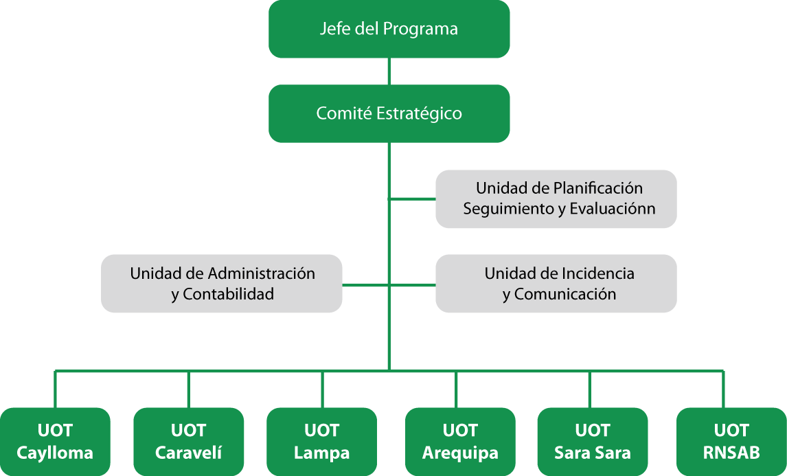 organigrama-01