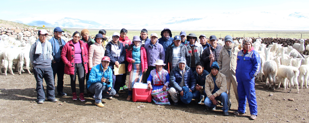 Grupo de la Diplomatura en Manejo sostenible de camelidos