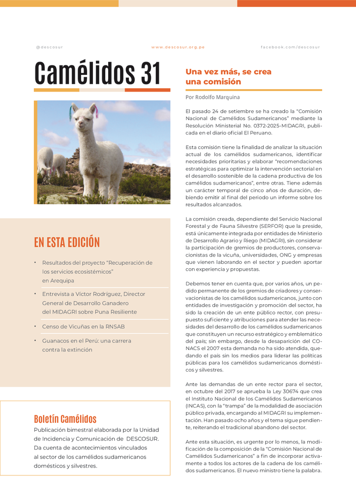 thumbnail of boletin_Camelidos_31