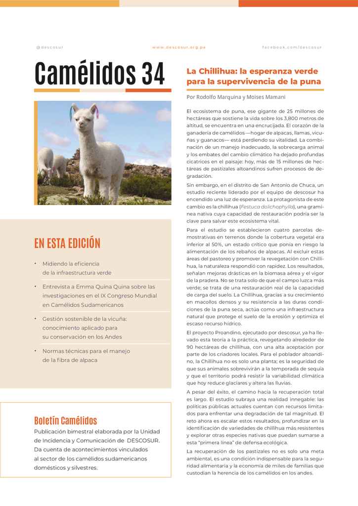 thumbnail of boletin_Camelidos_34