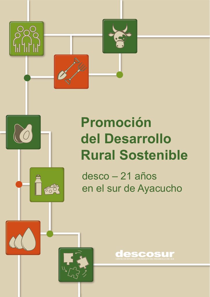 thumbnail of Sistematizacion_21_Sur de Ayacucho